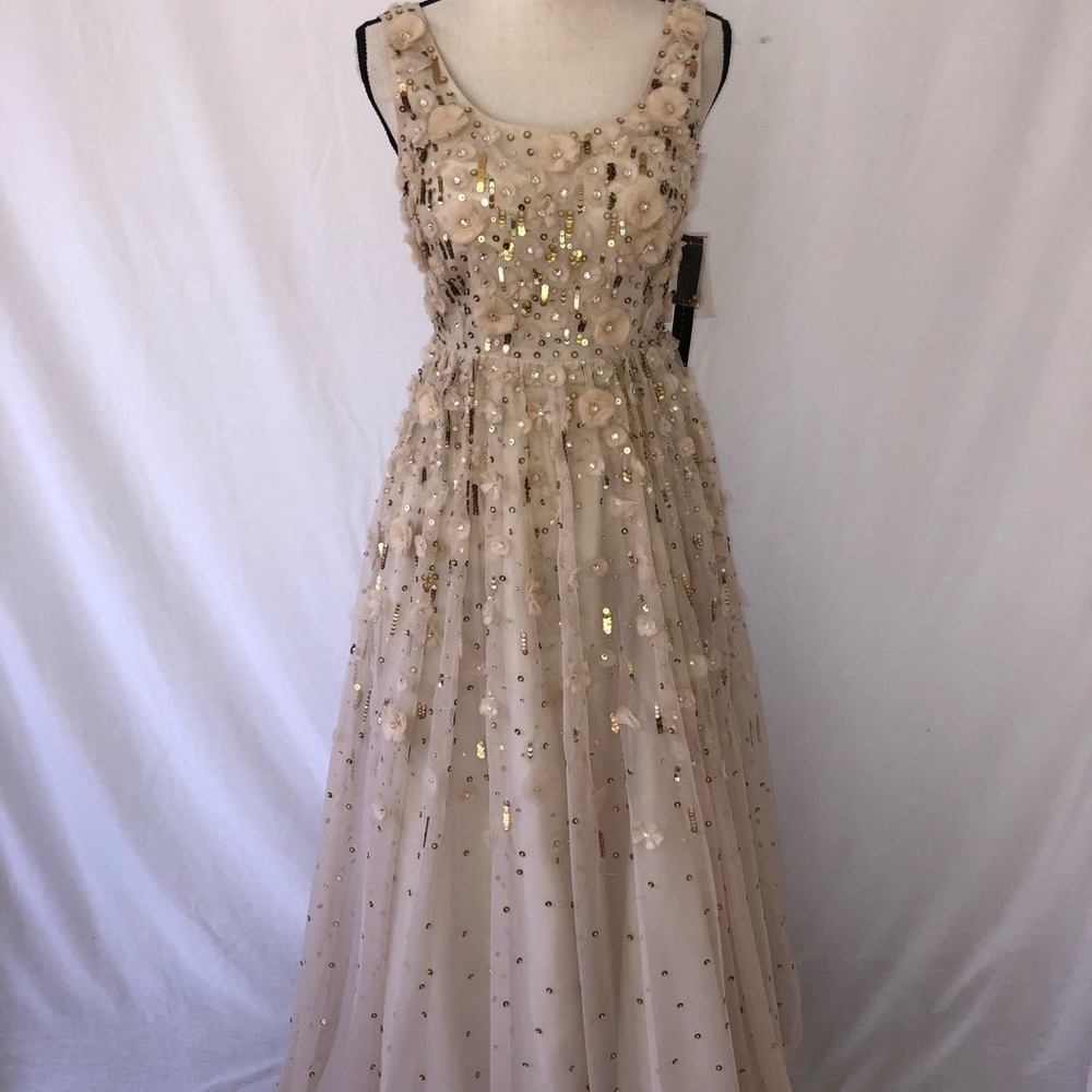 Champagne Gold Prom Dress or Ball Gown